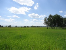 Земельные участки сельхозназначения в Калининградской области